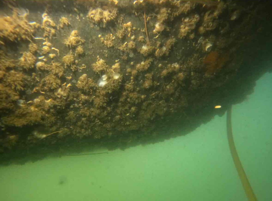 Underwater hull cleaning before
